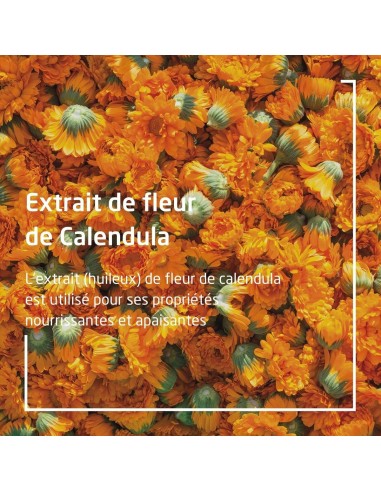 NutritiveBody Milk Weleda 090540X7 Sea buckthorn