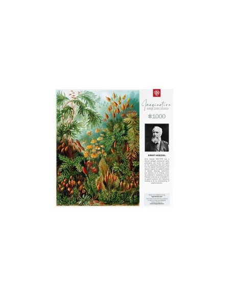 Puzzle Cenega Publishing Imagination: Ernst Haeckel Muscinae 1000 Pieces