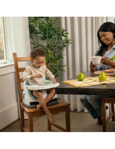 Highchair Ingenuity Green Natural rubber