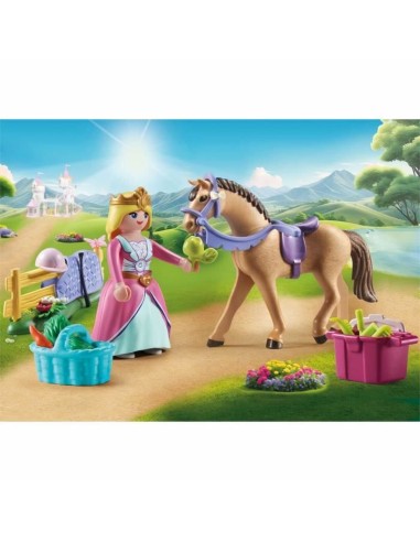 Playset Playmobil 71801