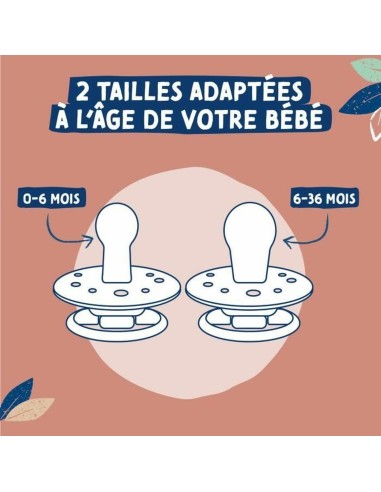 Pacifier Dodie (2 Pieces) (2 Units)