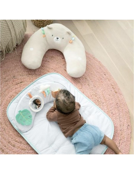 Play mat Ingenuity
