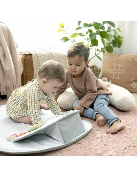 Play mat Ingenuity