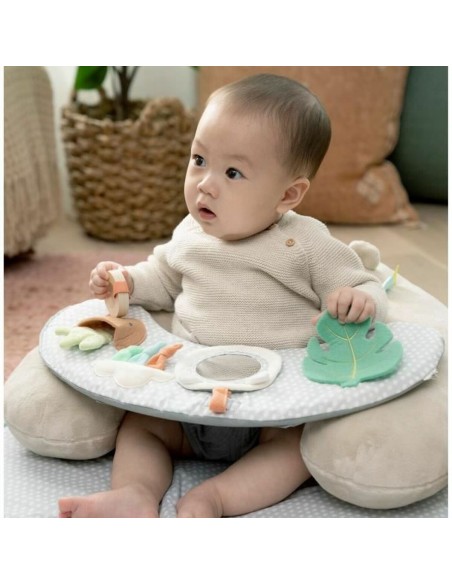 Play mat Ingenuity