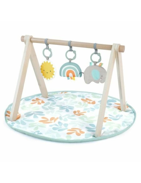 Play mat Ingenuity