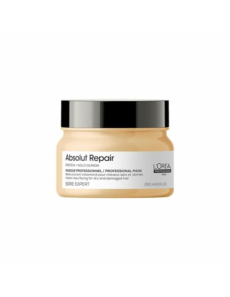 Repairing Mask L'Oreal Professionnel Paris Absolut Repair (250 ml)