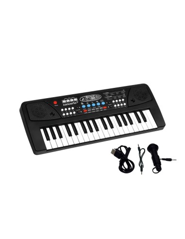 Electric Piano Reig