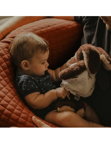 Breastfeeding Cushion Béaba Terracotta