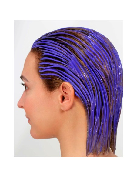 Hair Mask Phyto Paris Violet 200 ml