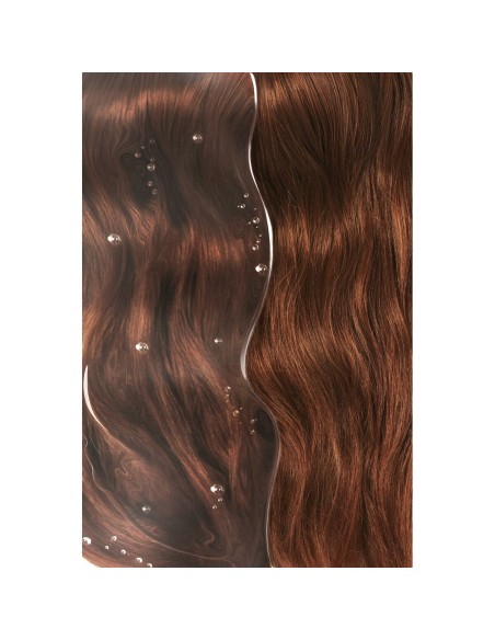 Shampoo Phyto Paris Couleur 250 ml