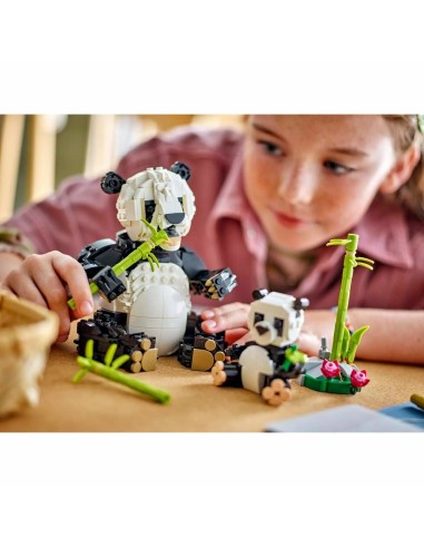 Construction set Lego