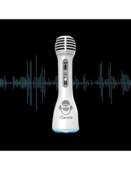 Karaoke Microphone