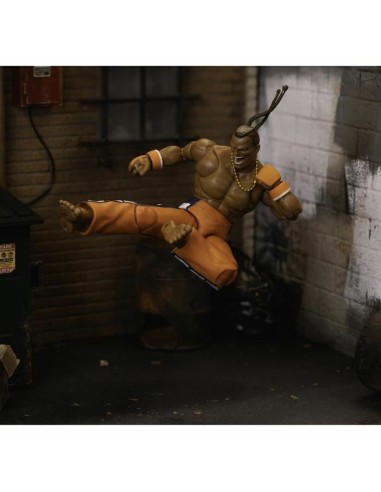 Jointed Figure Street Fighter