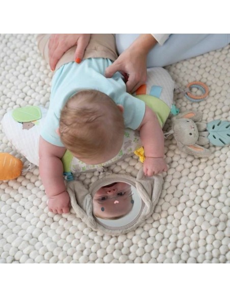 Play mat Ingenuity Cloth Foam