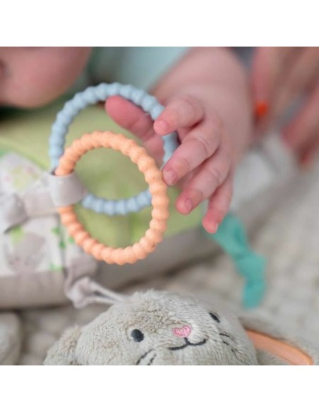 Play mat Ingenuity Cloth Foam