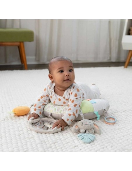 Play mat Ingenuity Cloth Foam