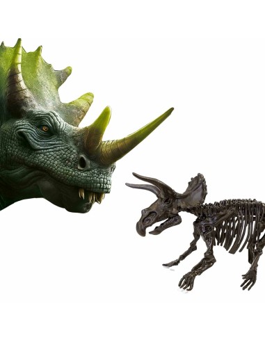 Excavation Game SES Creative Triceratops