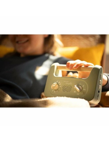 Musical Toy