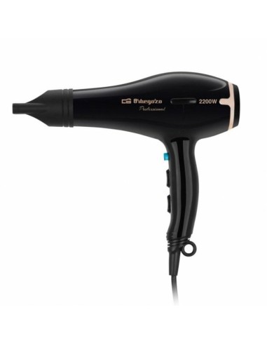 Hairdryer Orbegozo SE 2206 2200 W Black