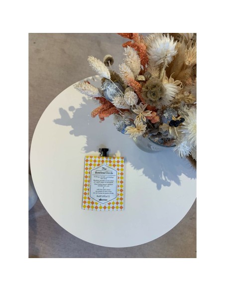 Conditioner Davines