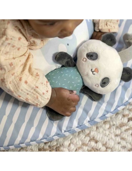 Play mat Ingenuity
