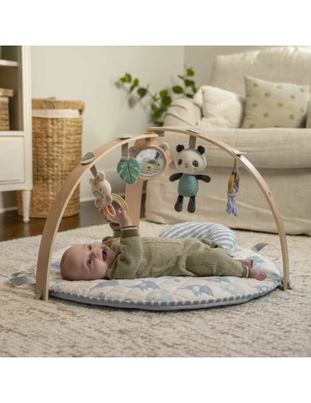 Play mat Ingenuity
