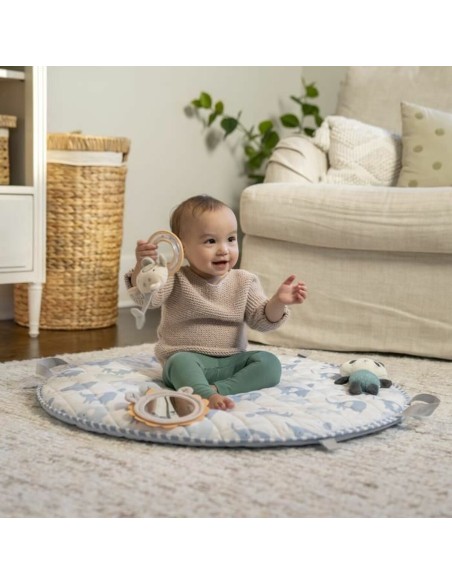 Play mat Ingenuity
