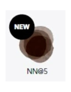 Permanent Dye Goldwell ELUMEN COLOR NN@5 200 ml 2