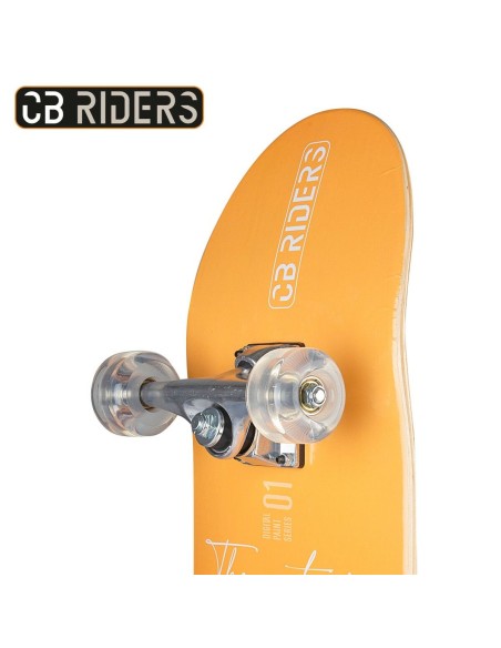 Skateboard Colorbaby (2 Units)