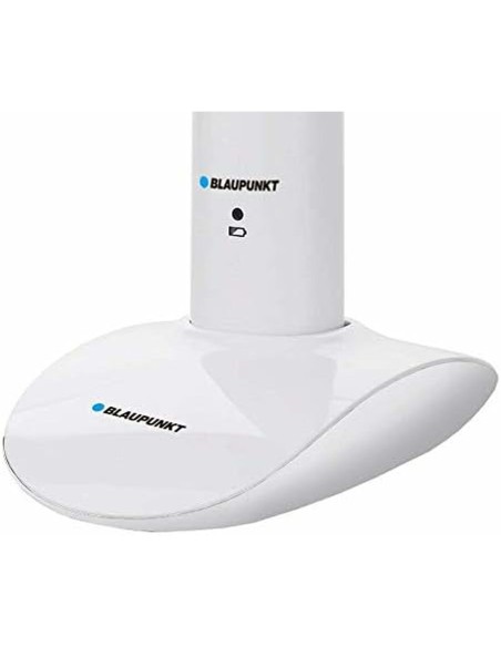 Electric Toothbrush Blaupunkt DTS601
