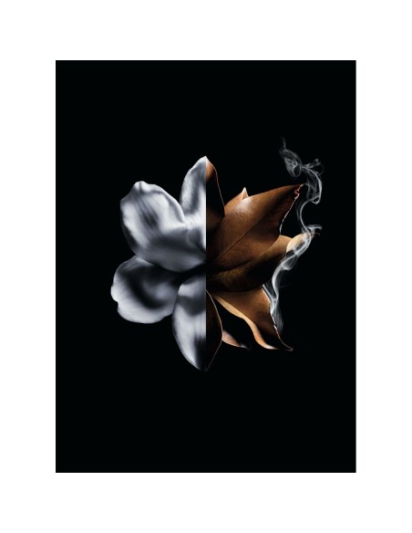 Women's Perfume Givenchy L'Interdit Absolu L'Interdit Absolu 50 ml