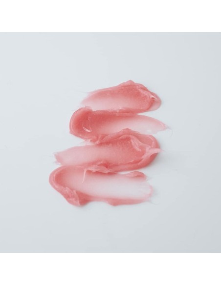 Make-Up Set Shiseido SYNCHRO SKIN