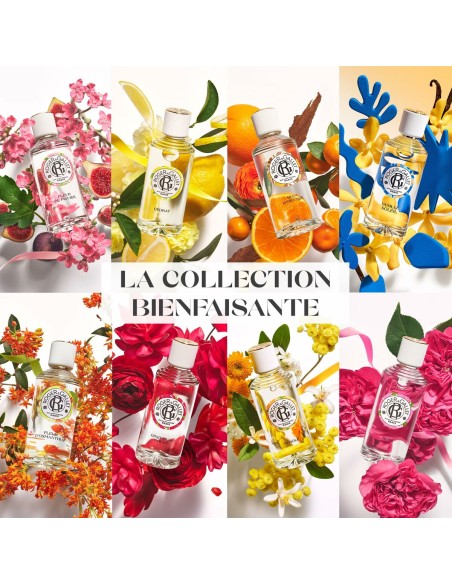 Unisex Perfume Roger & Gallet ROSE Rose