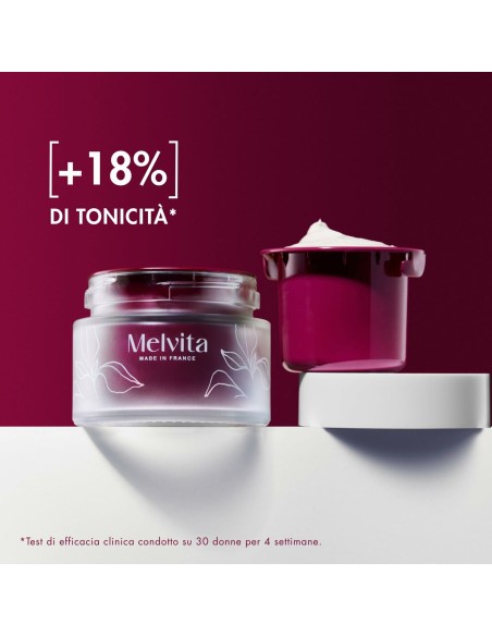 Facial Cream Melvita ARGÁN BIO