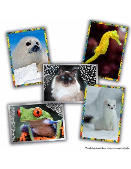 Sticker album Panini Animaux