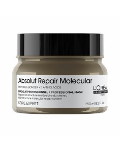 Hair Mask L'Oreal Professionnel Paris ABSOLUT REPAIR MOLECULAR 250 ml