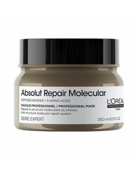 Hair Mask L'Oreal Professionnel Paris ABSOLUT REPAIR MOLECULAR 250 ml