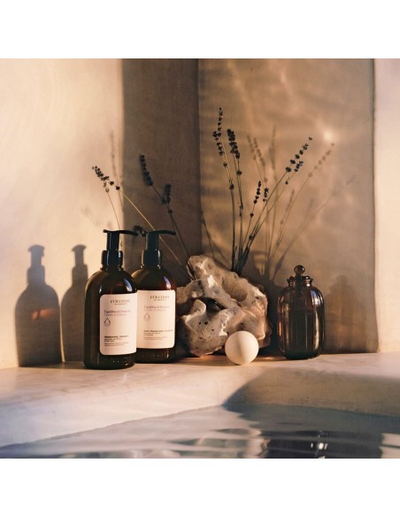 Conditioner L'Occitane En Provence AROMACOLOGÍA 250 ml