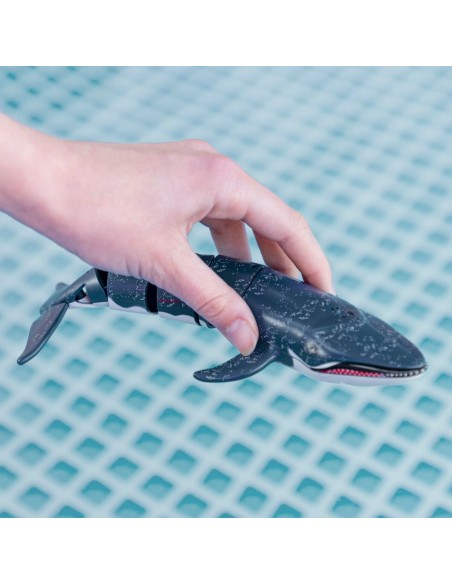 Set Colorbaby Racing Boat Radio control Whale