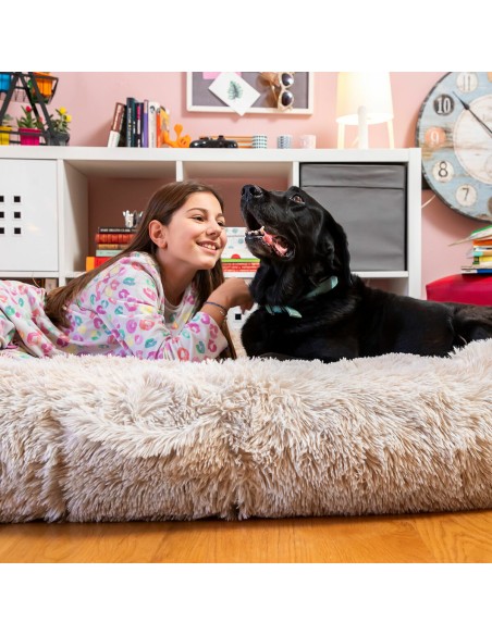 Human Dog Bed XXL InnovaGoods Beige