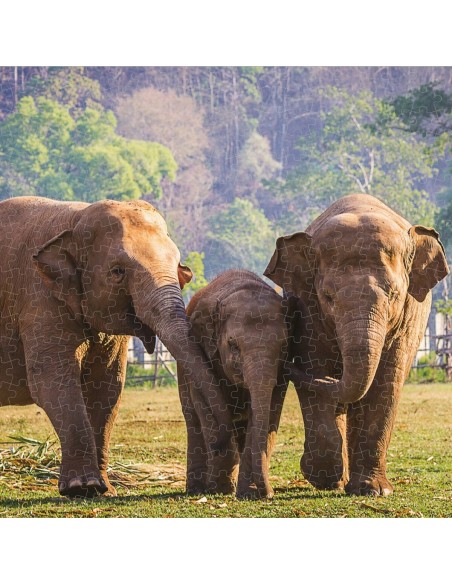 Puzzle Colorbaby Elephant 500 Pieces 6 Units 61 x 46 x 0,1 cm