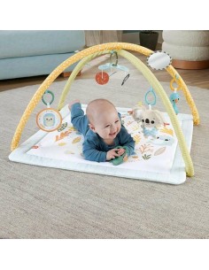 Play mat Fisher-Price Plastic