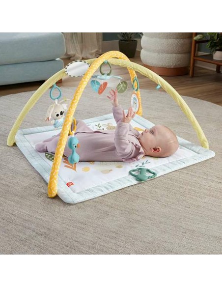 Play mat Fisher-Price Plastic