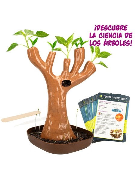Science Game Lisciani Botánica ES (6 Units)
