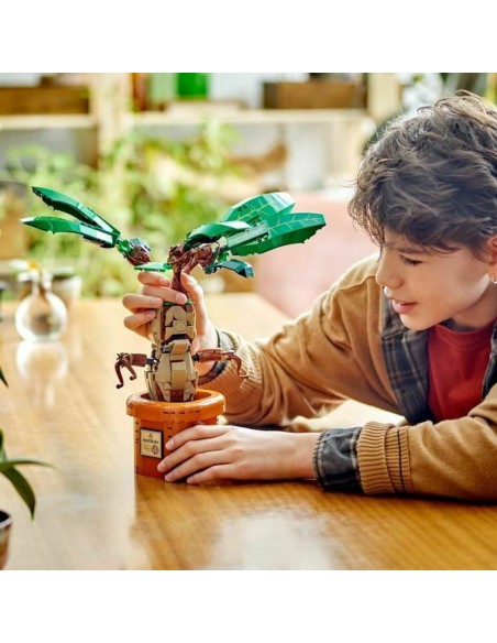 Construction set Lego Harry Potter Multicolour