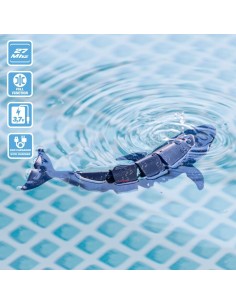 Set Colorbaby Racing Boat Radio control Whale 2