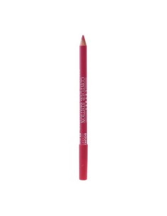 Lip Liner Contour Edition Bourjois 2