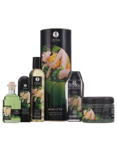 Pleasure Kit Shunga SH9002 2