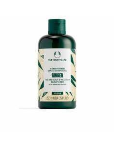 Conditioner The Body Shop Ginger 250 ml