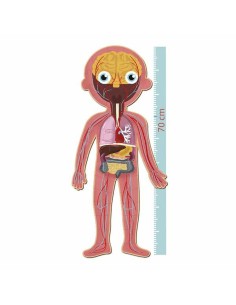 Puzzle Apli 19438 35 x 75 x 24 cm Human body 240 Pieces 2